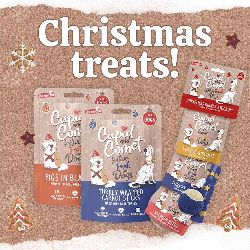 Christmas Dog Treats