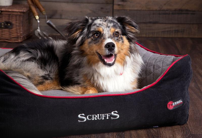 Scruffs Thermal Self Heating Beds