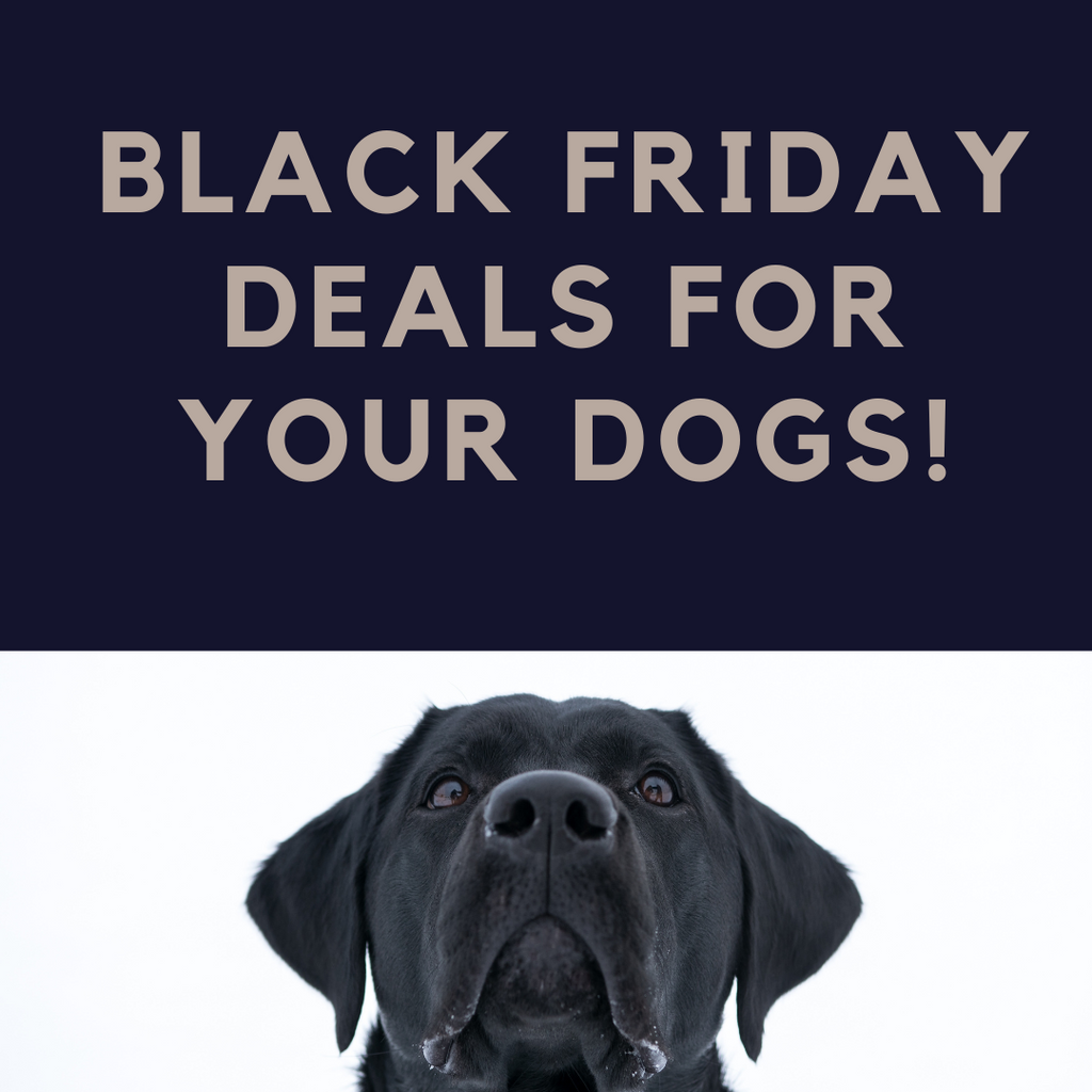 Black Friday Deals for Dogs and Puppies Treat Your Dog