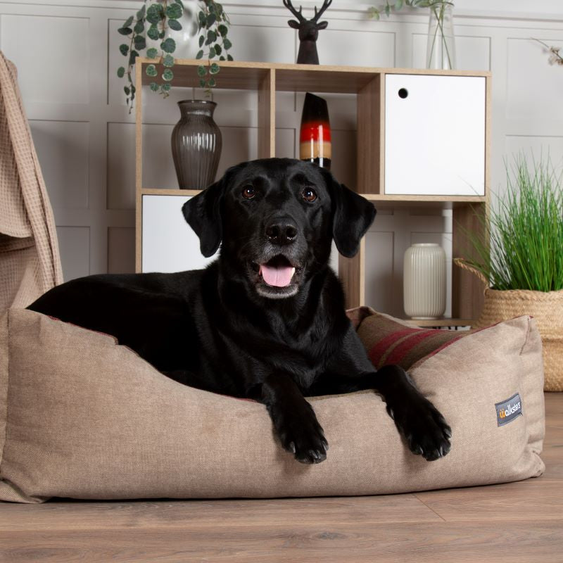 Fabric Dog Beds Seriously comfy for all breeds Treat Your Dog