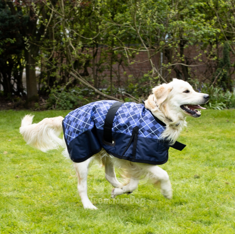 Dog coats & clothing for larger breeds