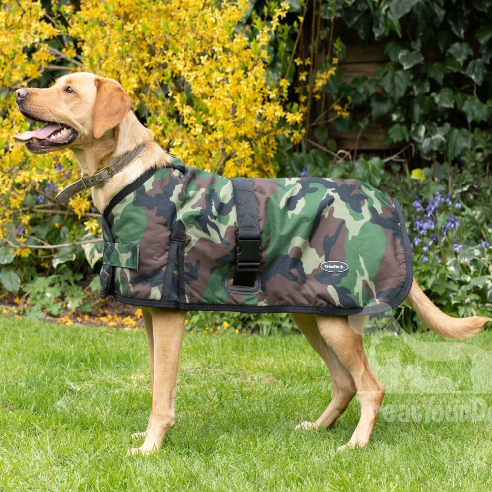 Waterproof Dog Coats UK Dog Coat Specialists Treat Your Dog