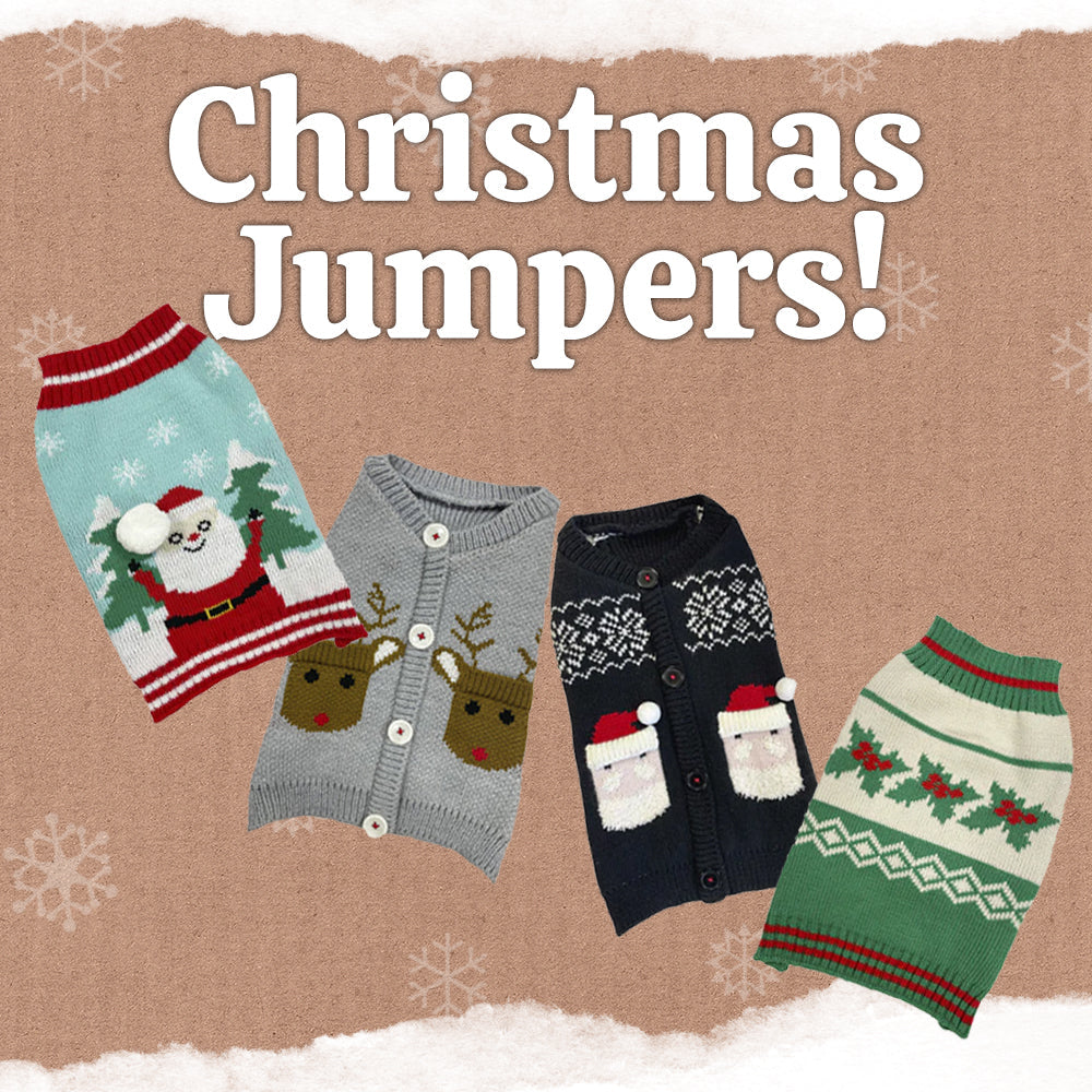 Christmas Jumpers for Dogs