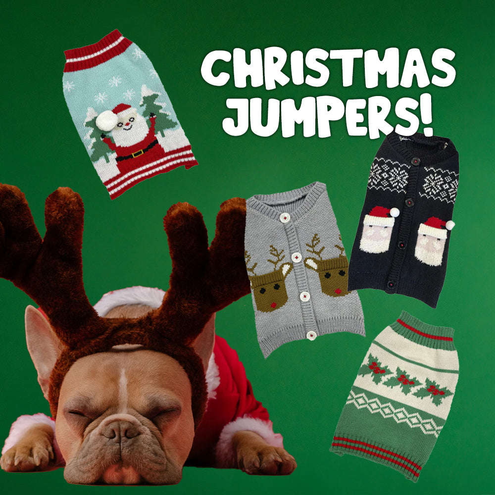 Christmas Jumpers for Dogs