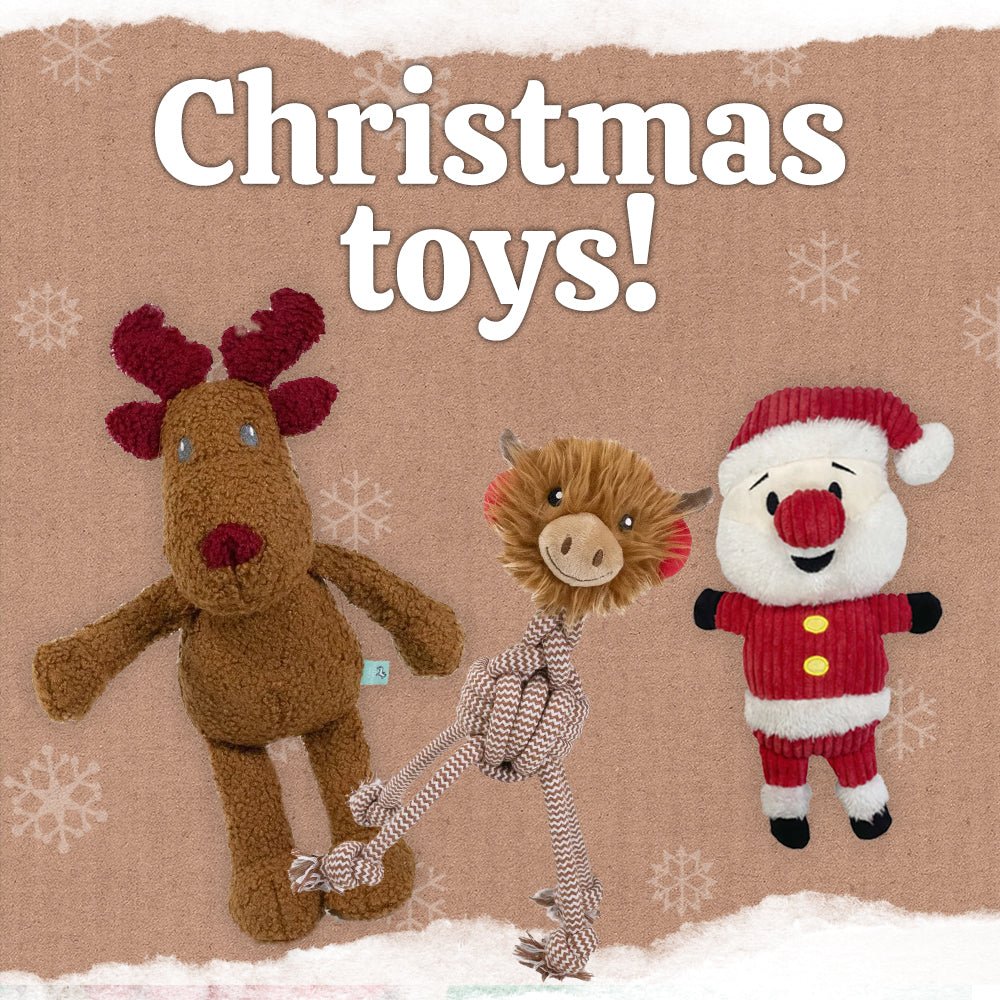 Christmas Toys