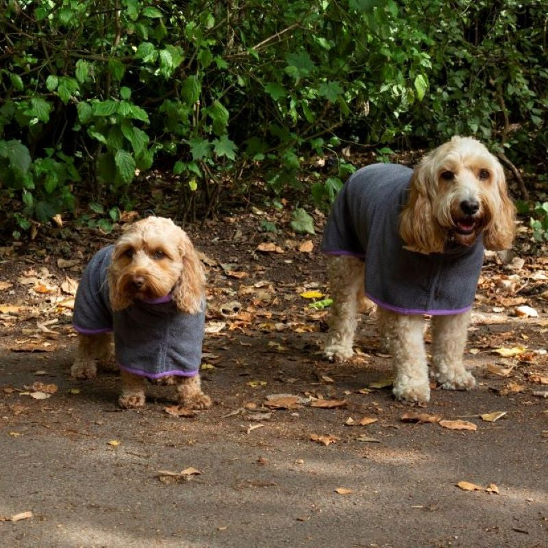 Dog Microfibre Drying Coats Small And Large