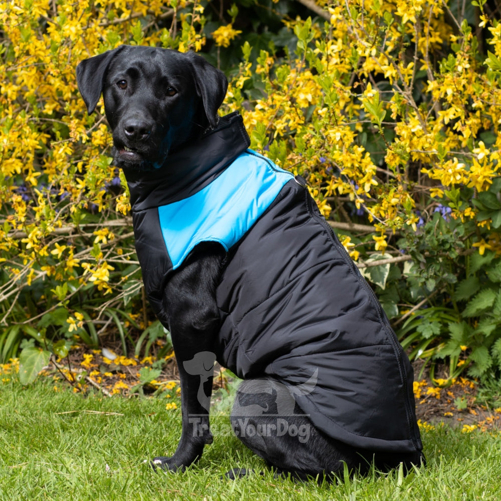Dog body warmers best sale uk