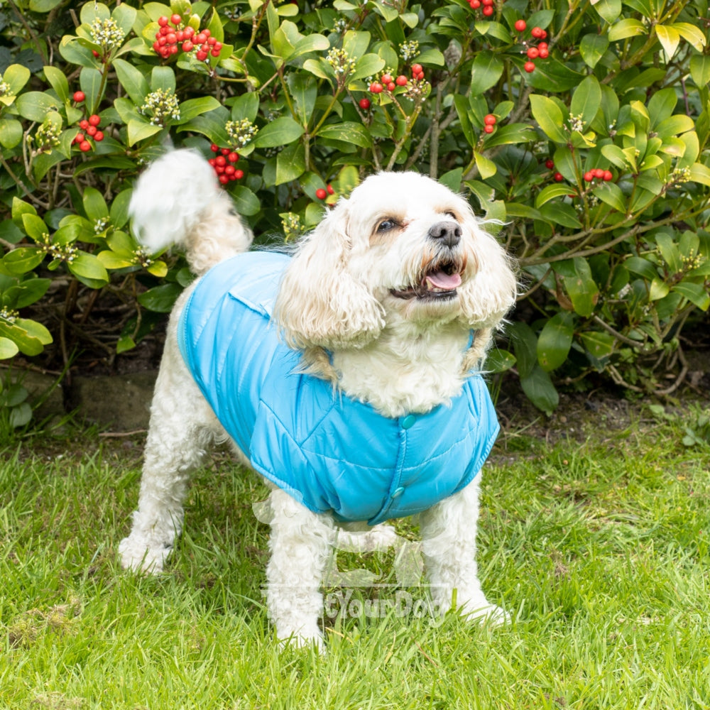 Winter Parka Coats for dogs