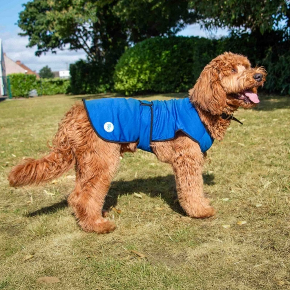Ice Paws Dog Cooling Coat – Evaporative Cooling Vest
