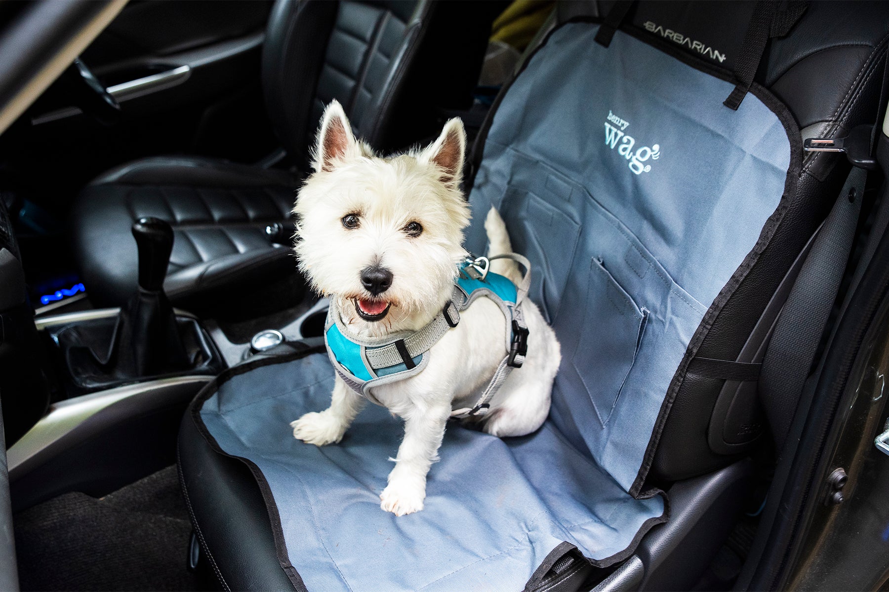 Henry Wag car Seat Protector