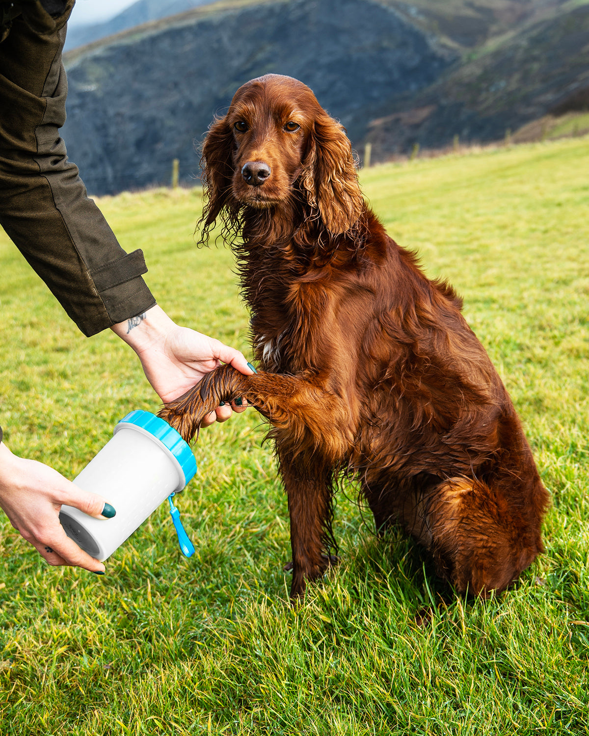 Henry Wag Paw Cleaner