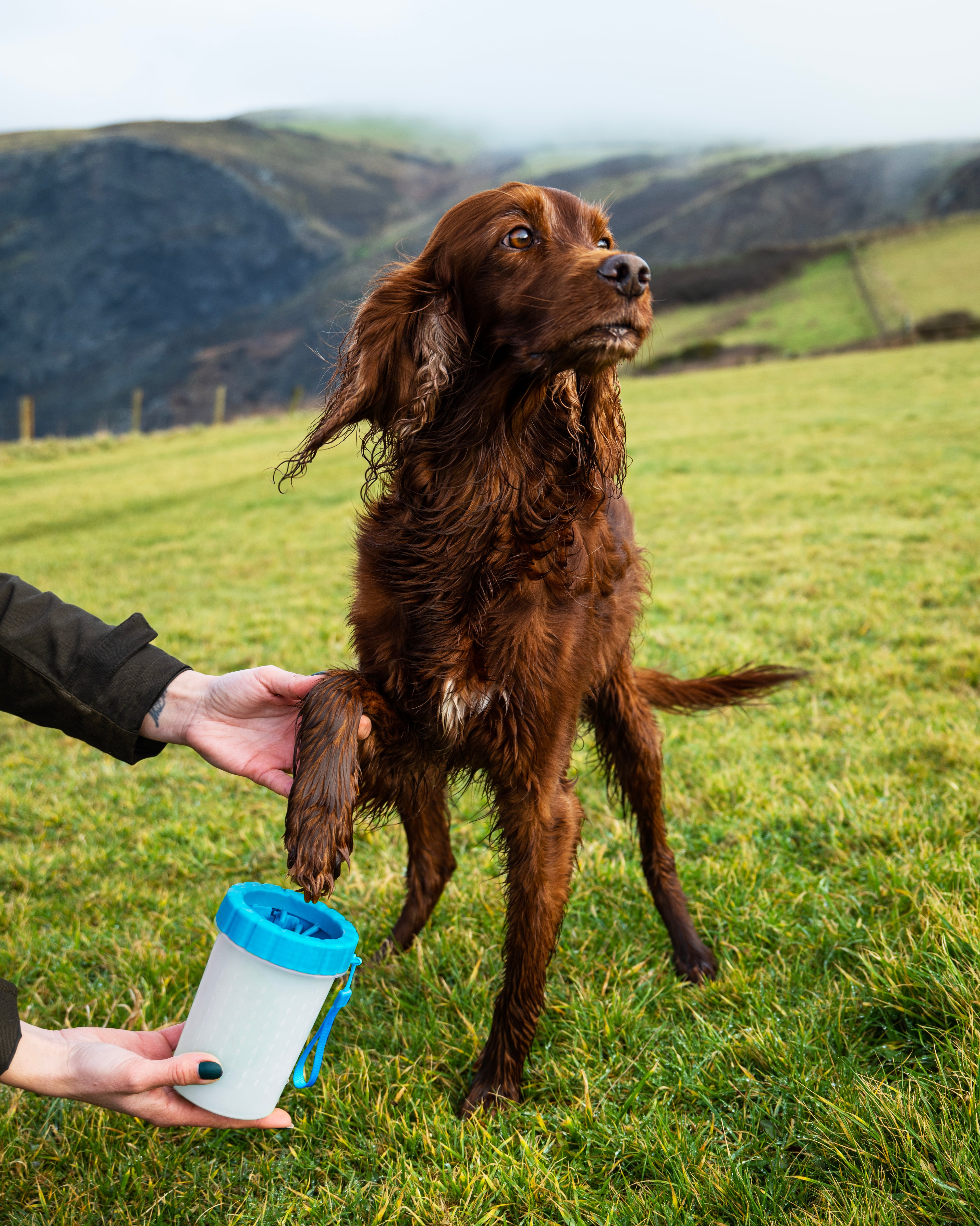 Henry Wag Paw Cleaner