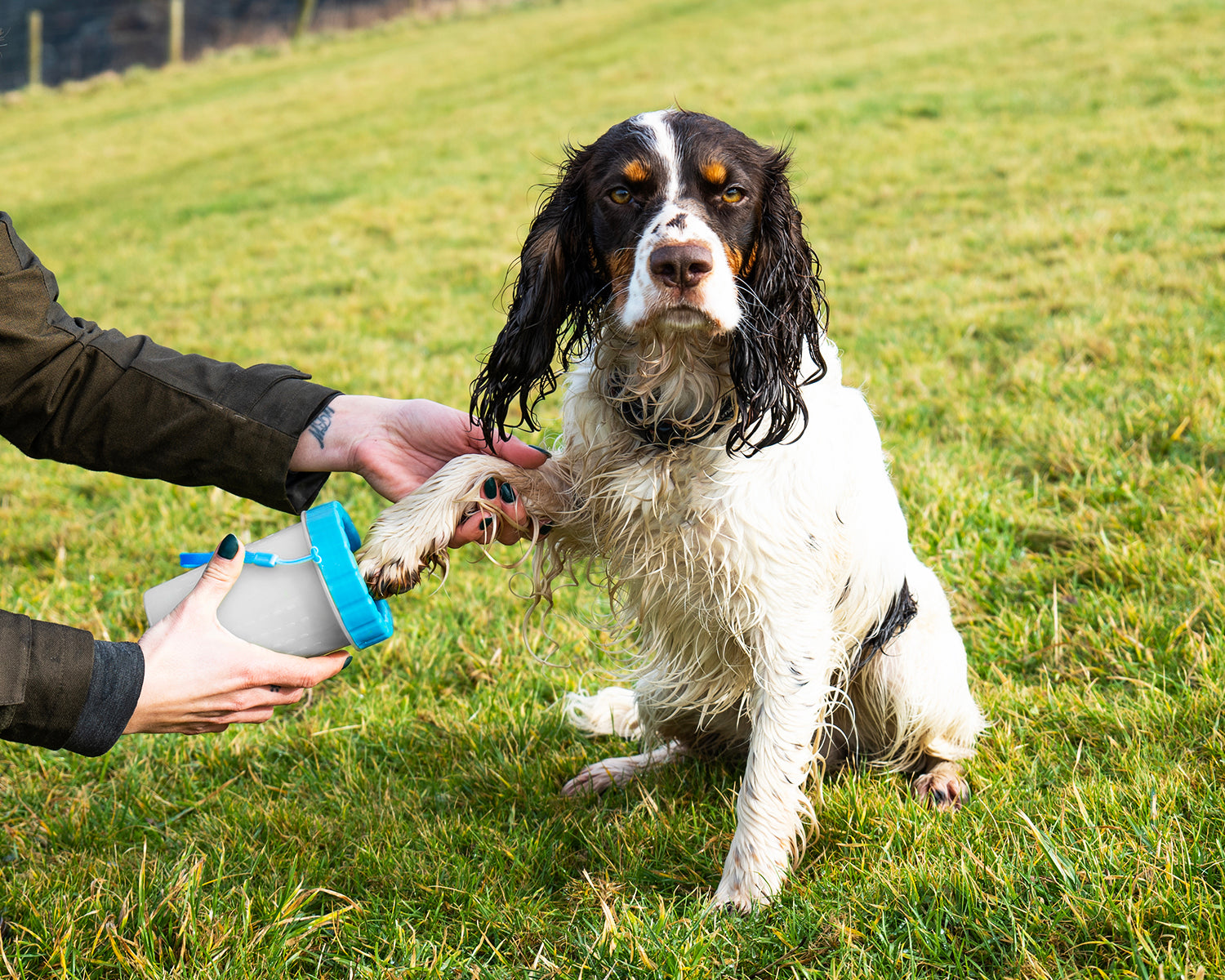 Henry Wag Paw Cleaner