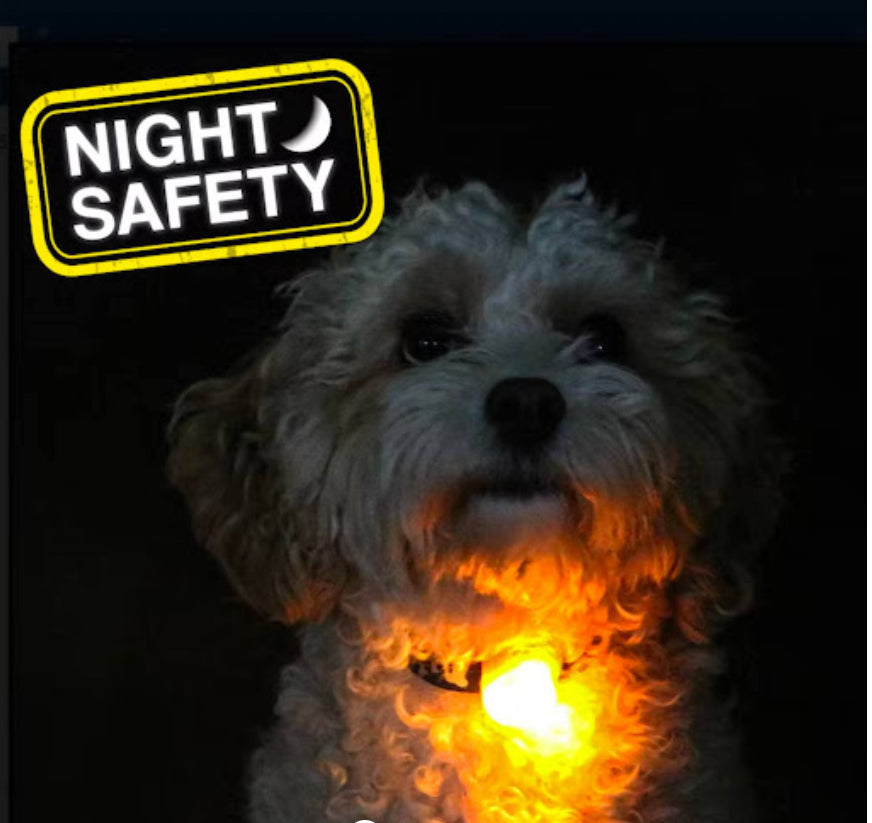 Ancol High Visibility Blinkers