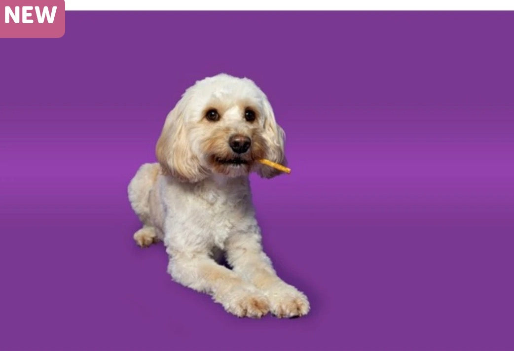 Pawtential XS Collagen Treats in Beef, Salmon and Peanut Butter Flavours. 6 Chew Sticks