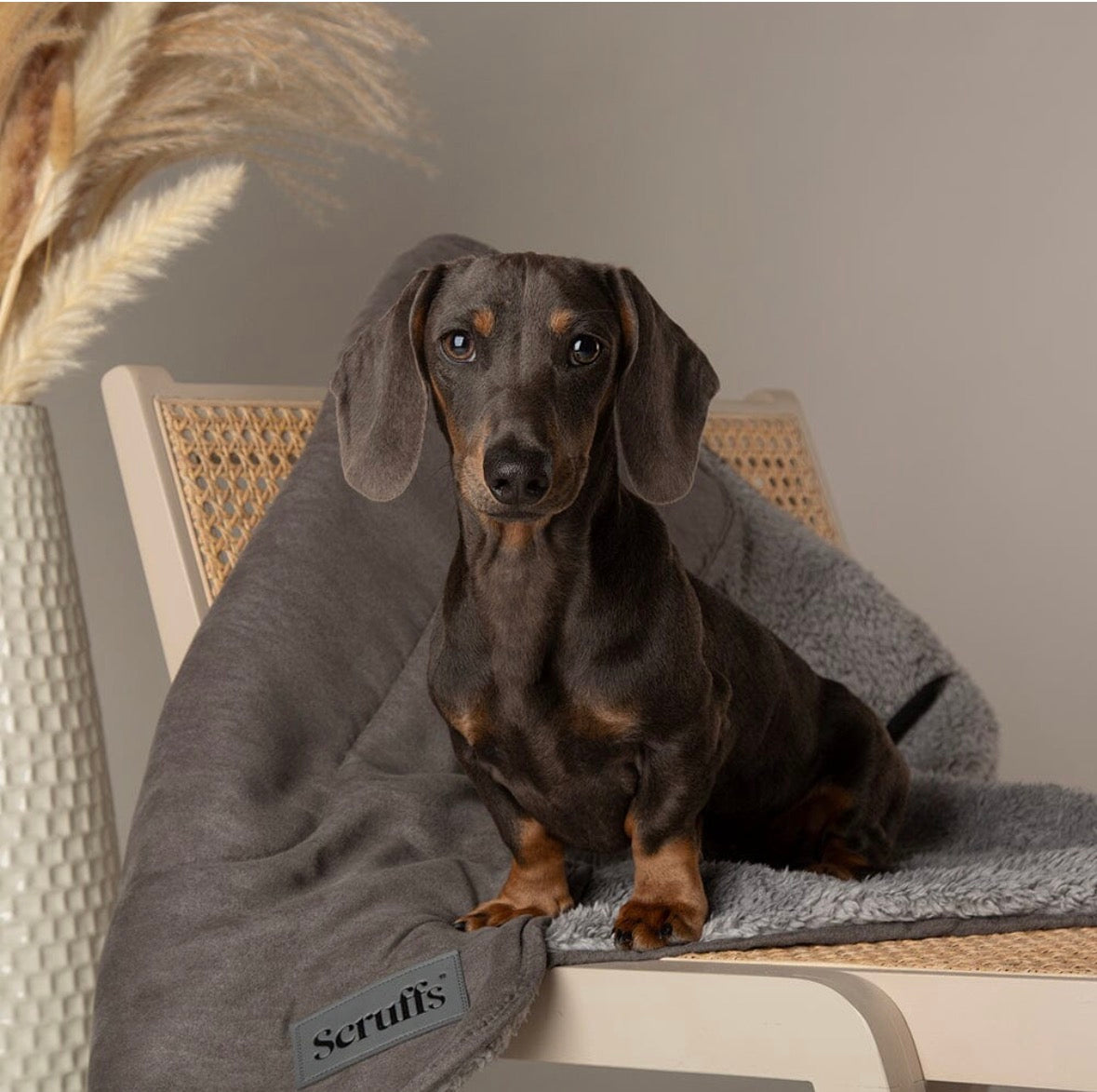 Scruffs Reversible Cosy Blanket in Grey