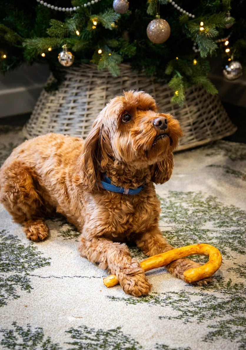 Collagen Candy Cane Christmas Dog Treat