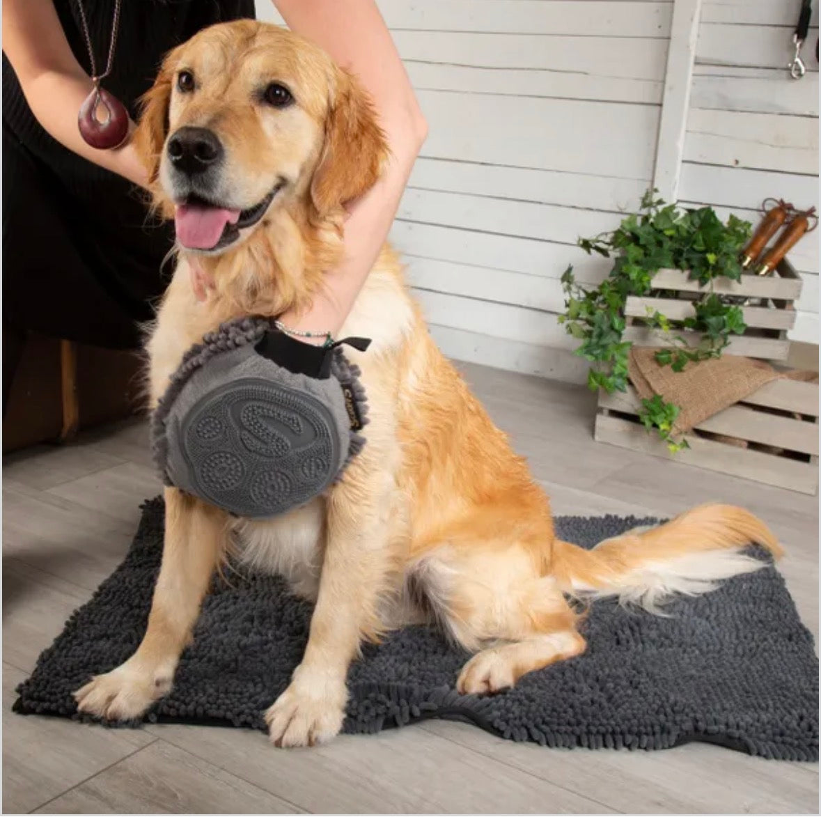 Scruffs Noodle Drying & Groom Mitt for dogs