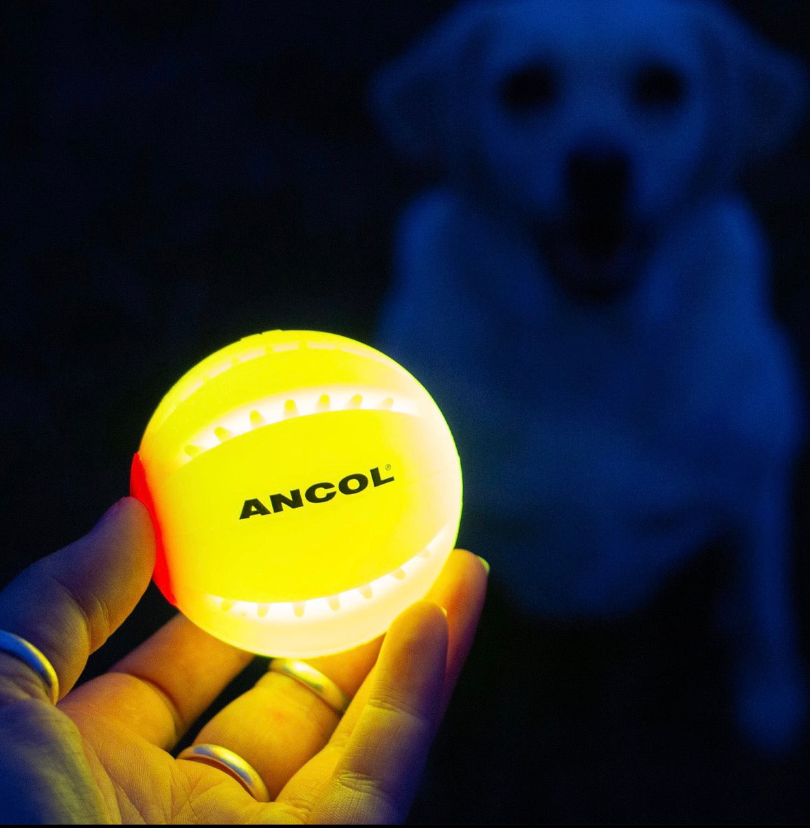 Ancol Re-Chargeable LED Ball. Night Safety