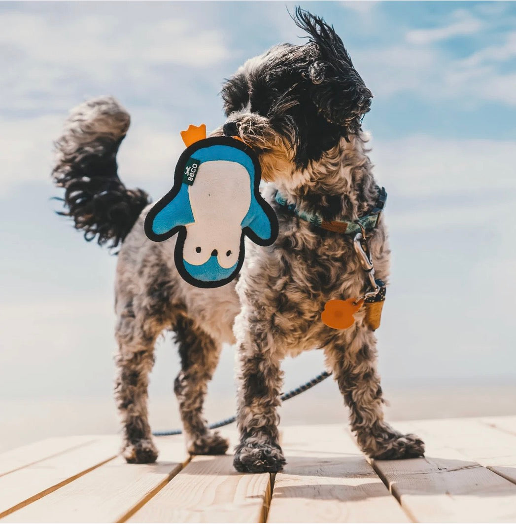 Beco Tough Penguin Dog Toy