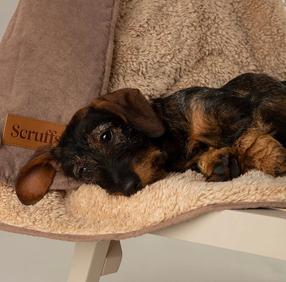 Scruffs Snuggle Blanket - Caramel Brown
