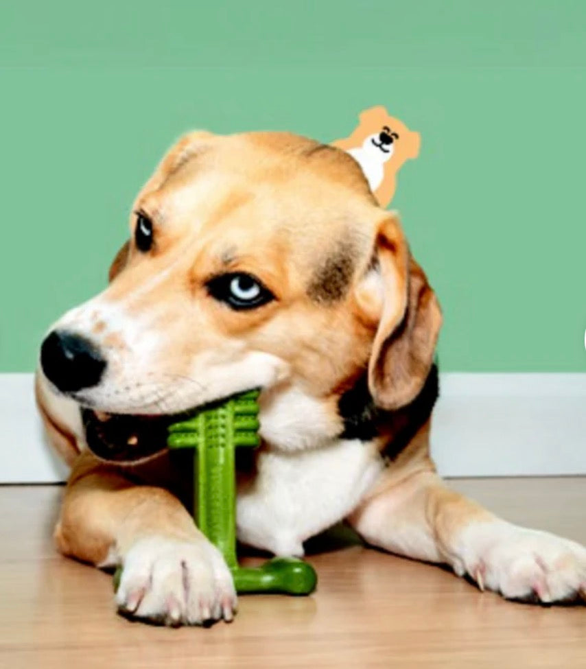 Bamboodles Lamb and Mint Dental Bone Small