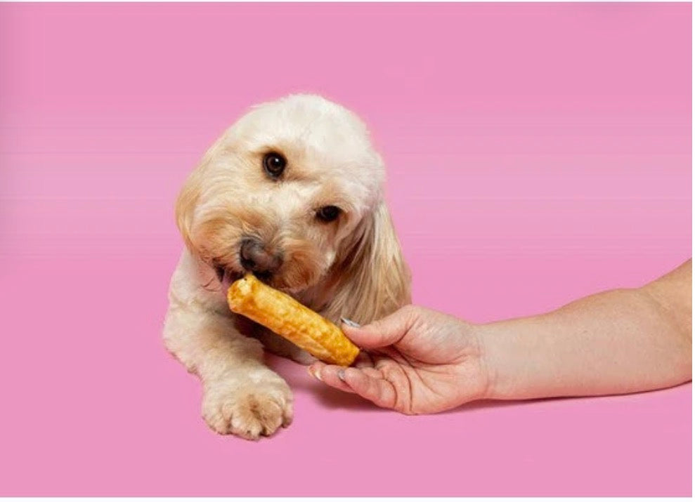 Pawtential Collagen Chew in Beef and Chicken Flavours Size Small