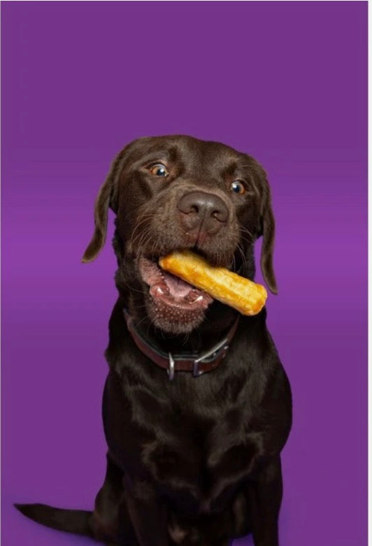 Pawtential Collagen Dog Chew in Peanut Butter and Salmon Flavours. Size Medium