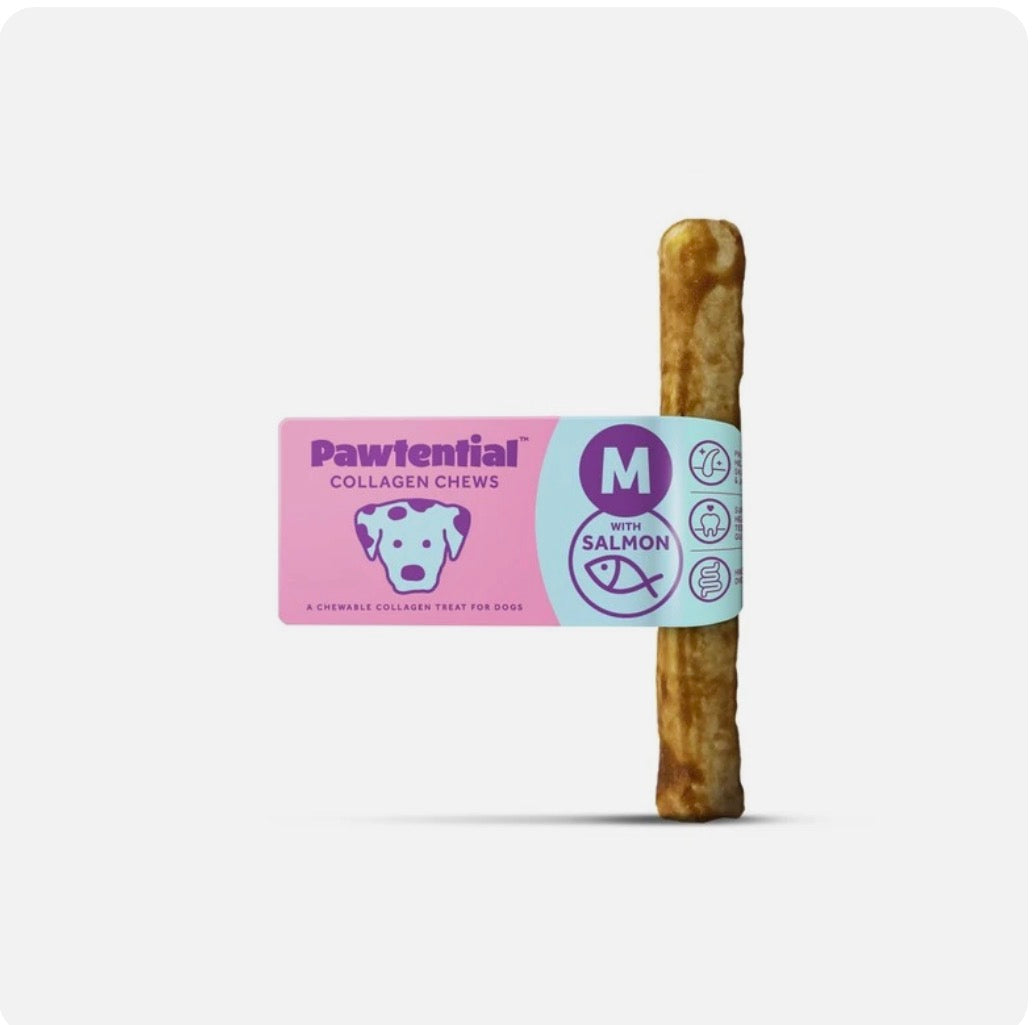 Pawtential Collagen Dog Chew in Peanut Butter and Salmon Flavours. Size Medium