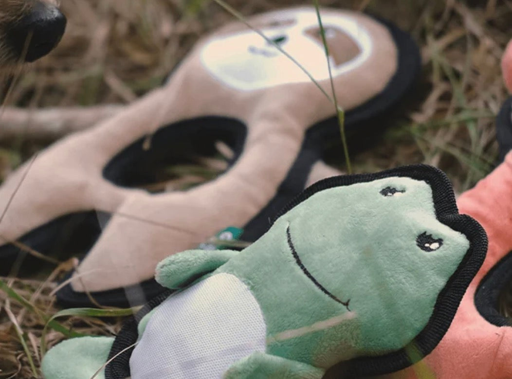 Beco Frog Dog Toy