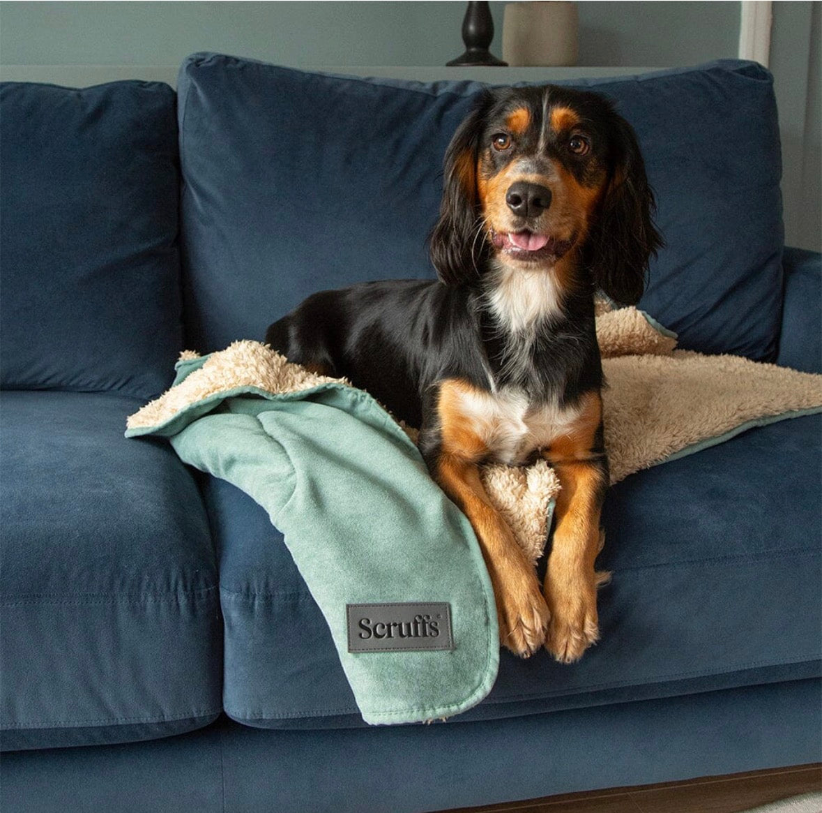 Scruffs Snuggle Blanket - Sage Green