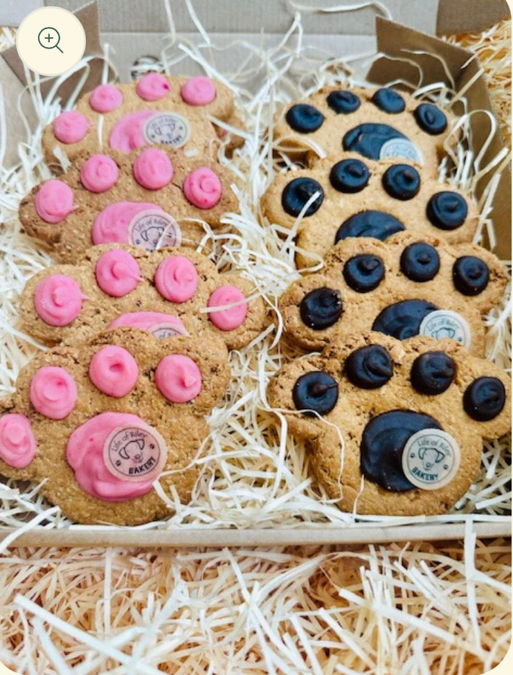 Paw 🐾 Print Individual Cookies