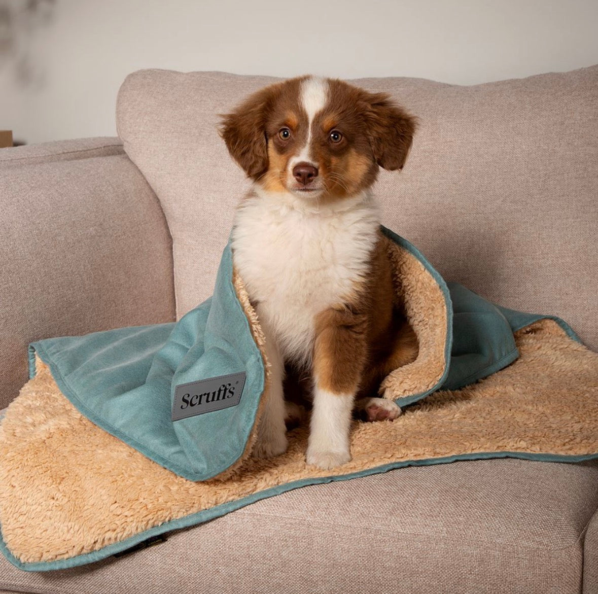 Scruffs Snuggle Blanket - Sage Green