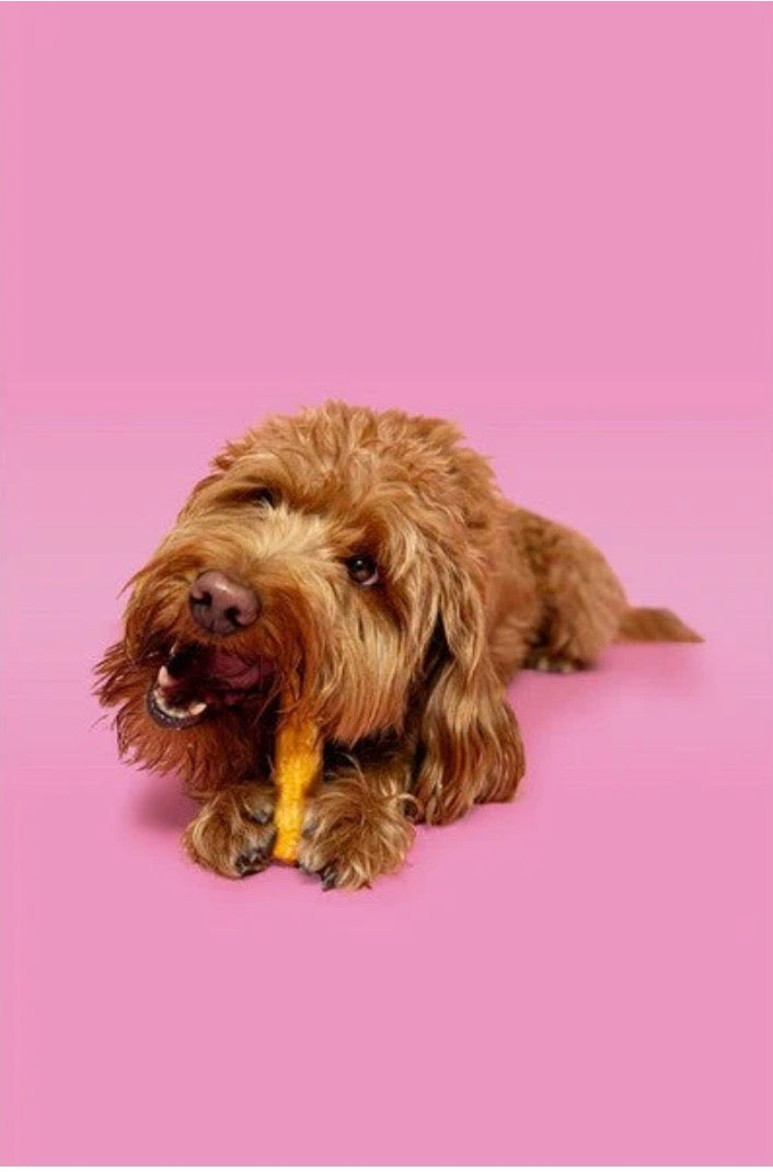 Pawtential Collagen Chew in Beef and Chicken Flavours Size Small