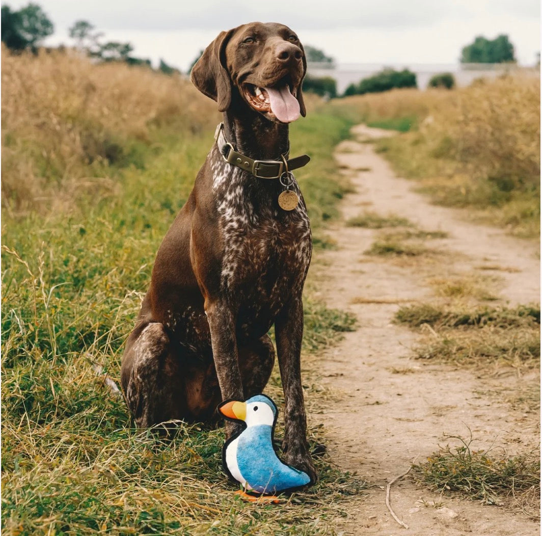 Beco Puffin Tough Dog Toy