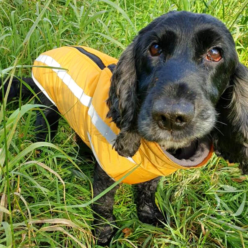 Walksters Fleece Lined Waterproof Dog Coat in Yellow