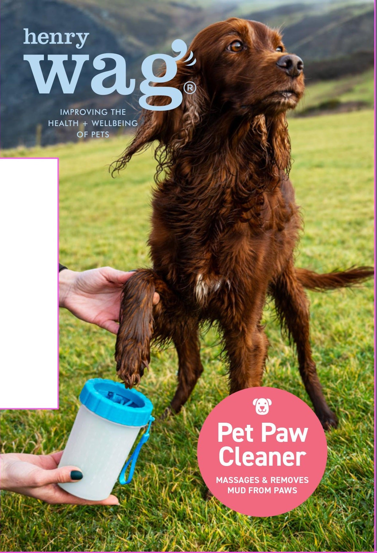 Henry Wag Paw Cleaner
