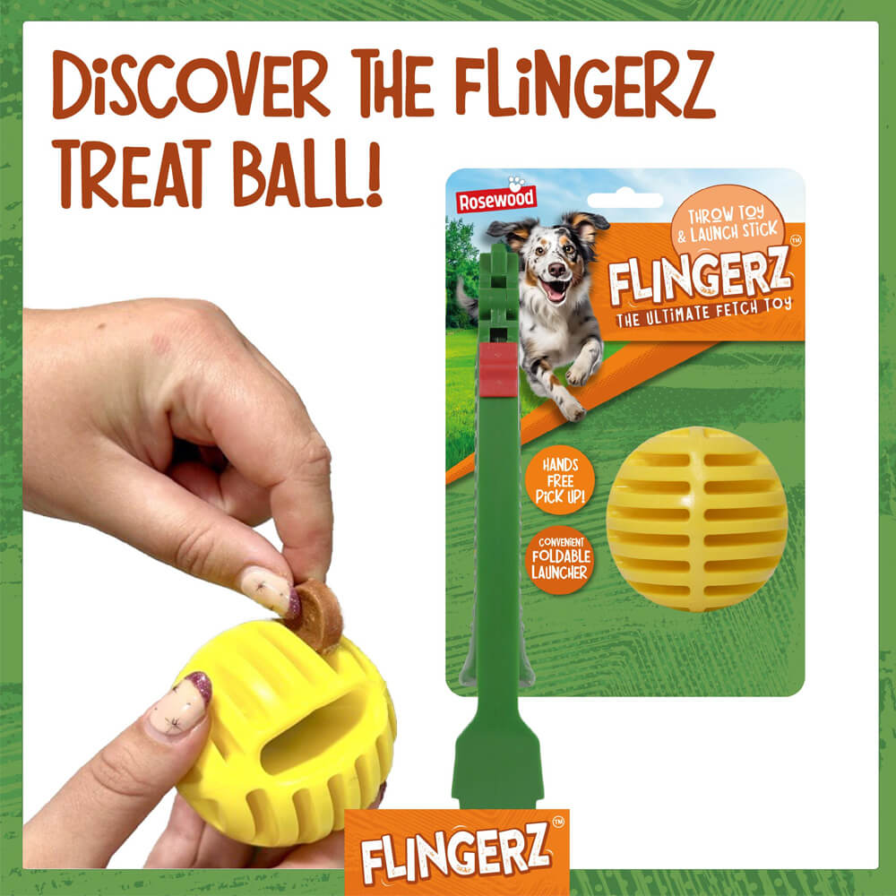 Bee Flingerz Throw Toy