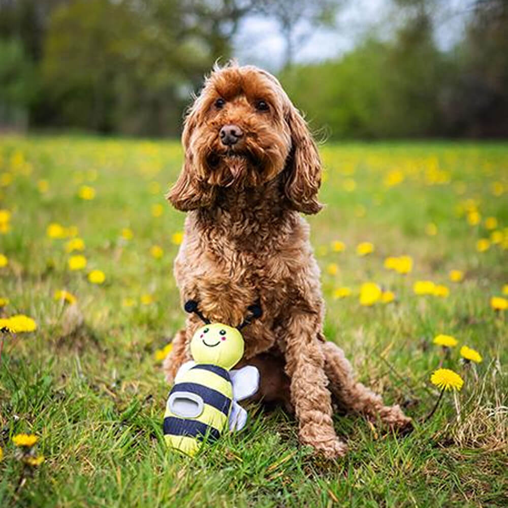 Bee Flingerz Throw Toy