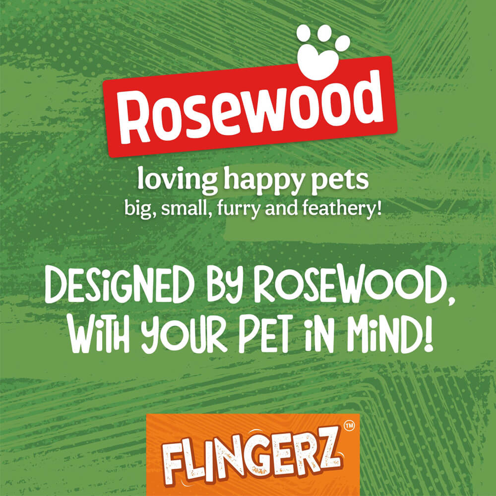 Bee Flingerz Throw Toy