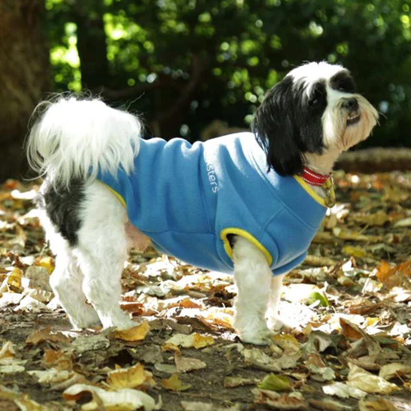 Walksters Dog Fleece Jumper in Blue