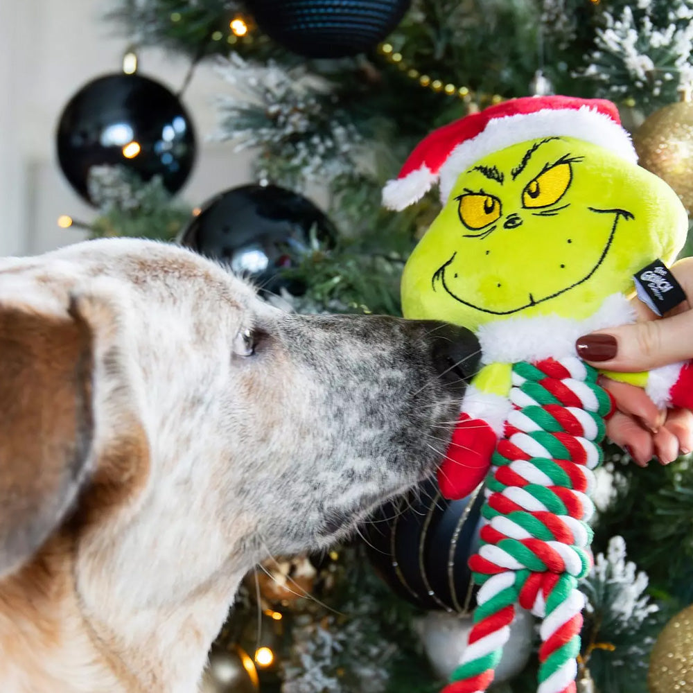 Grinch Rope Toy