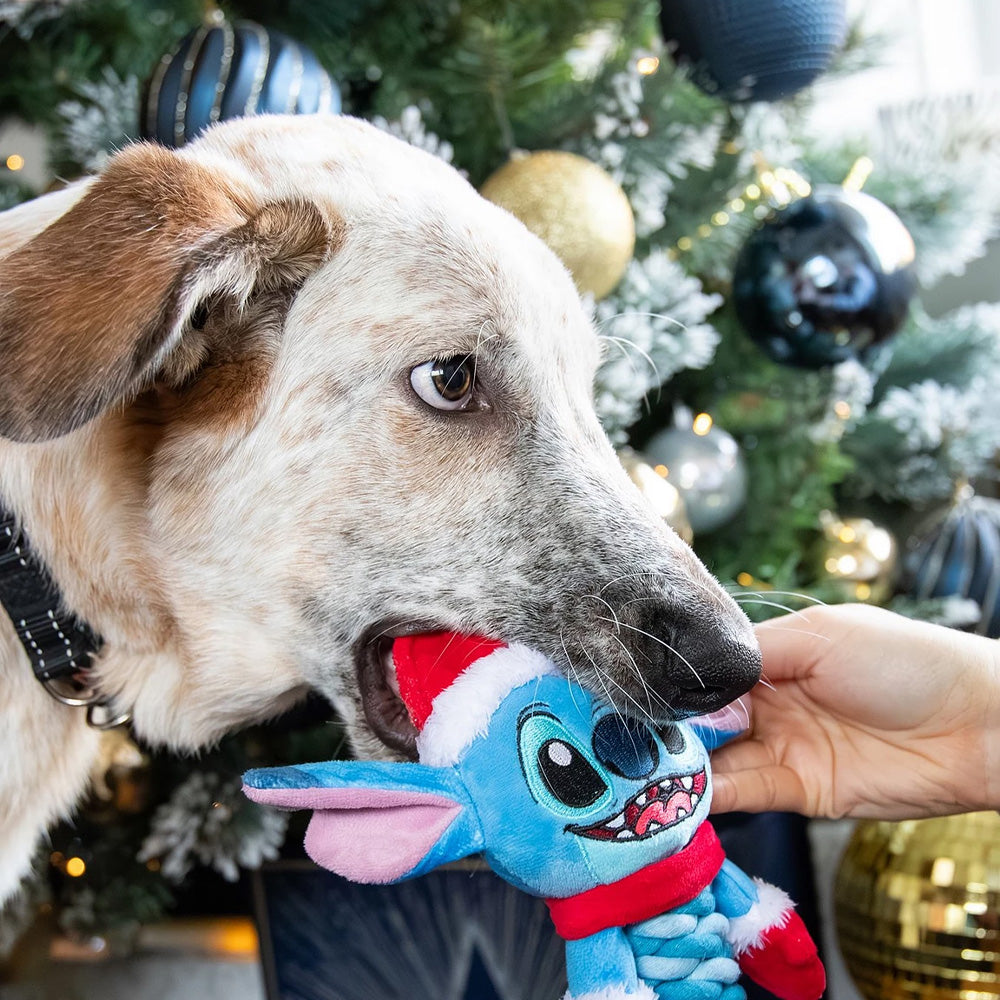 Stich Rope Toy