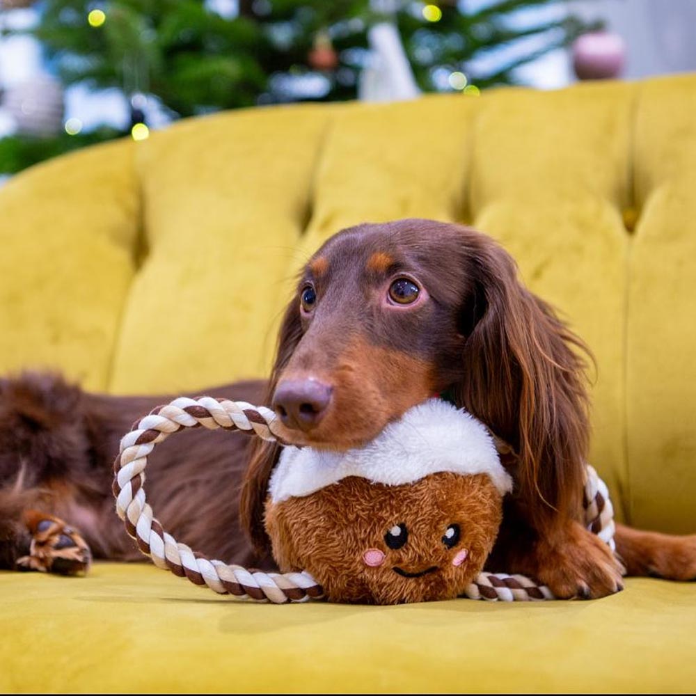 Christmas Pudding Tug Of War Rope Dog Toy
