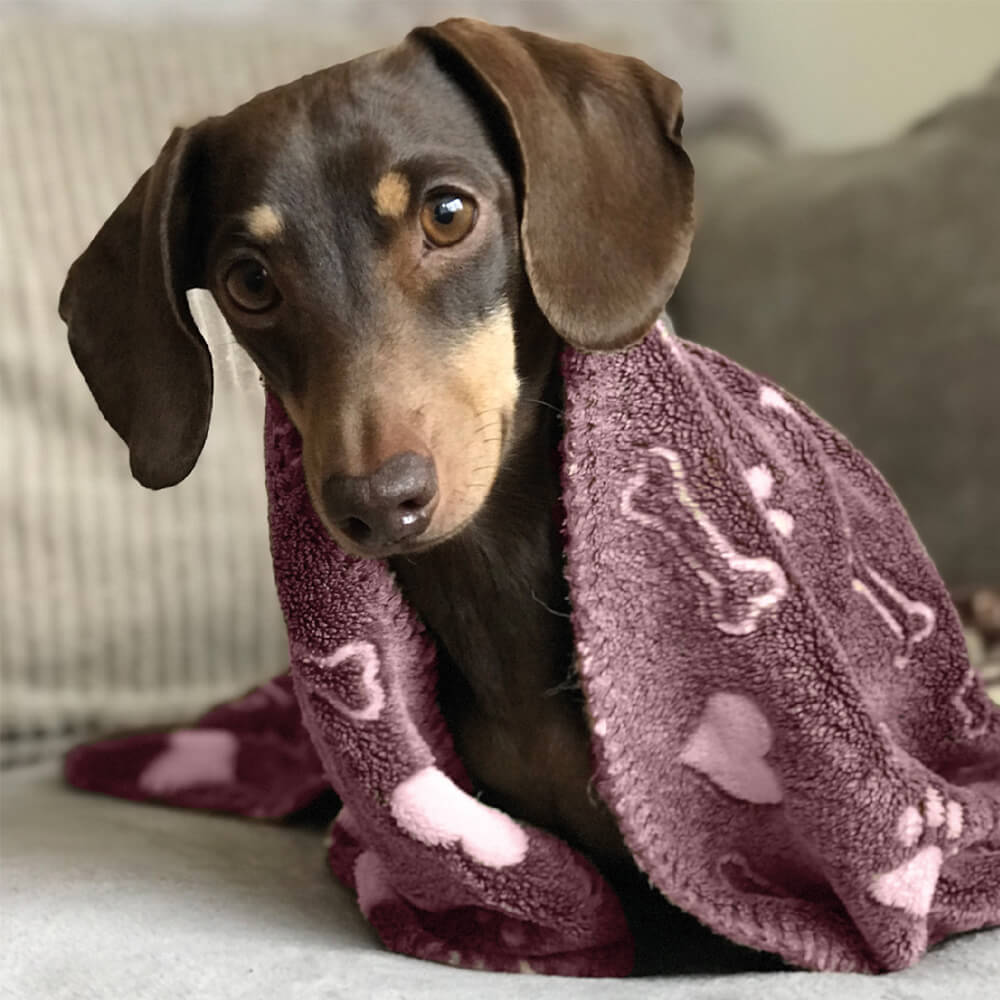 Comfort Blanket Pink 74cm x 74cm