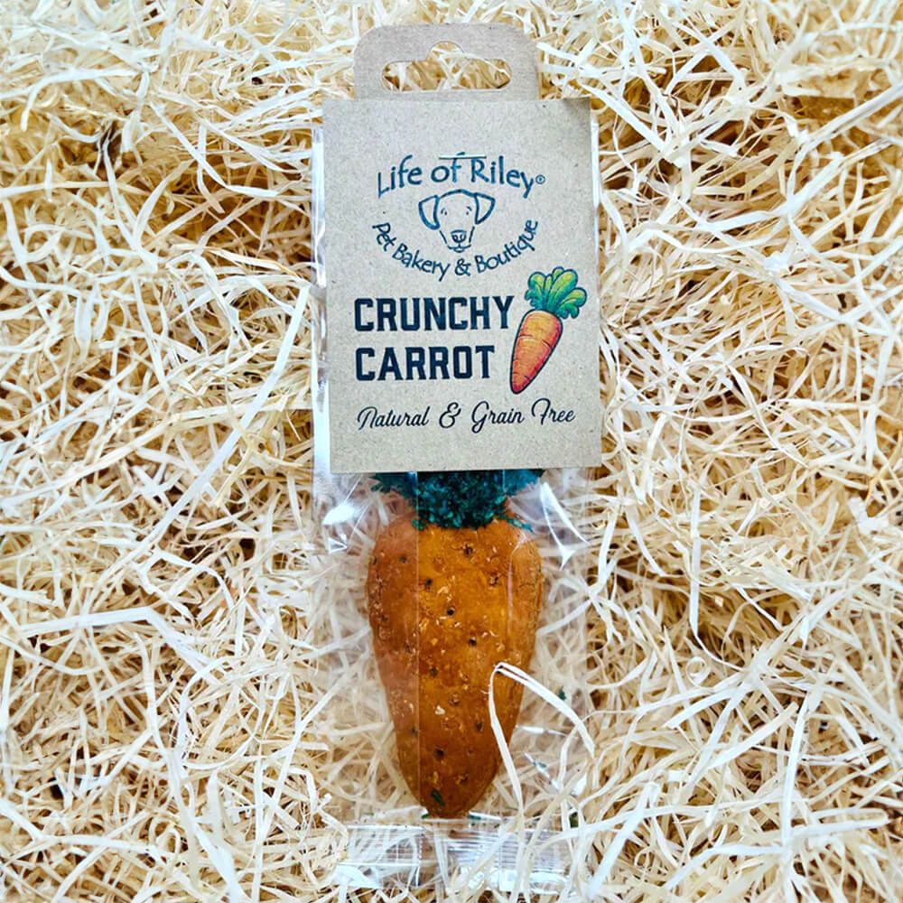 Crunchy Carrot Biscuit