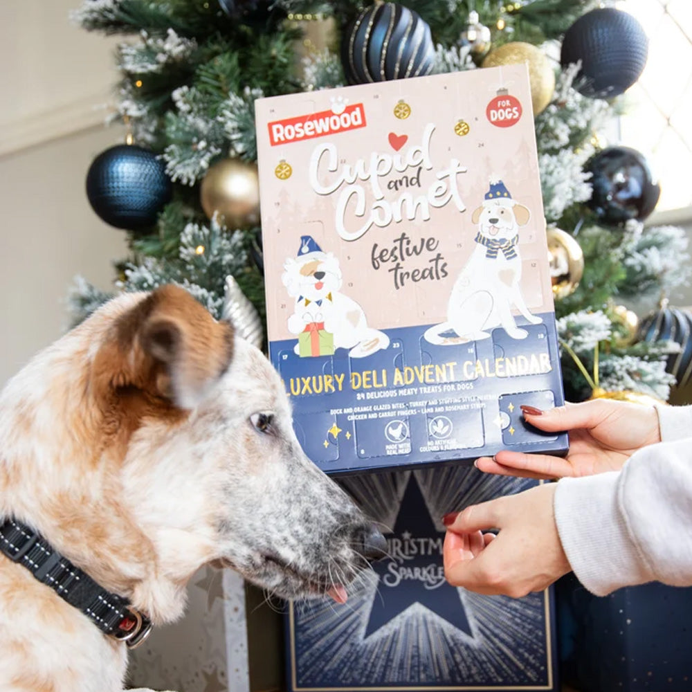 Luxury Deli Advent Calender