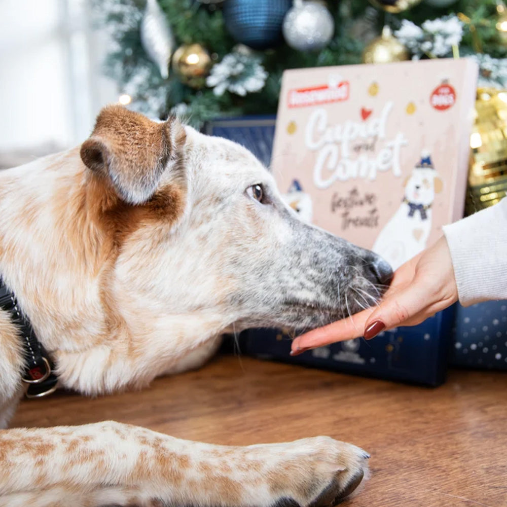 Luxury Deli Advent Calender