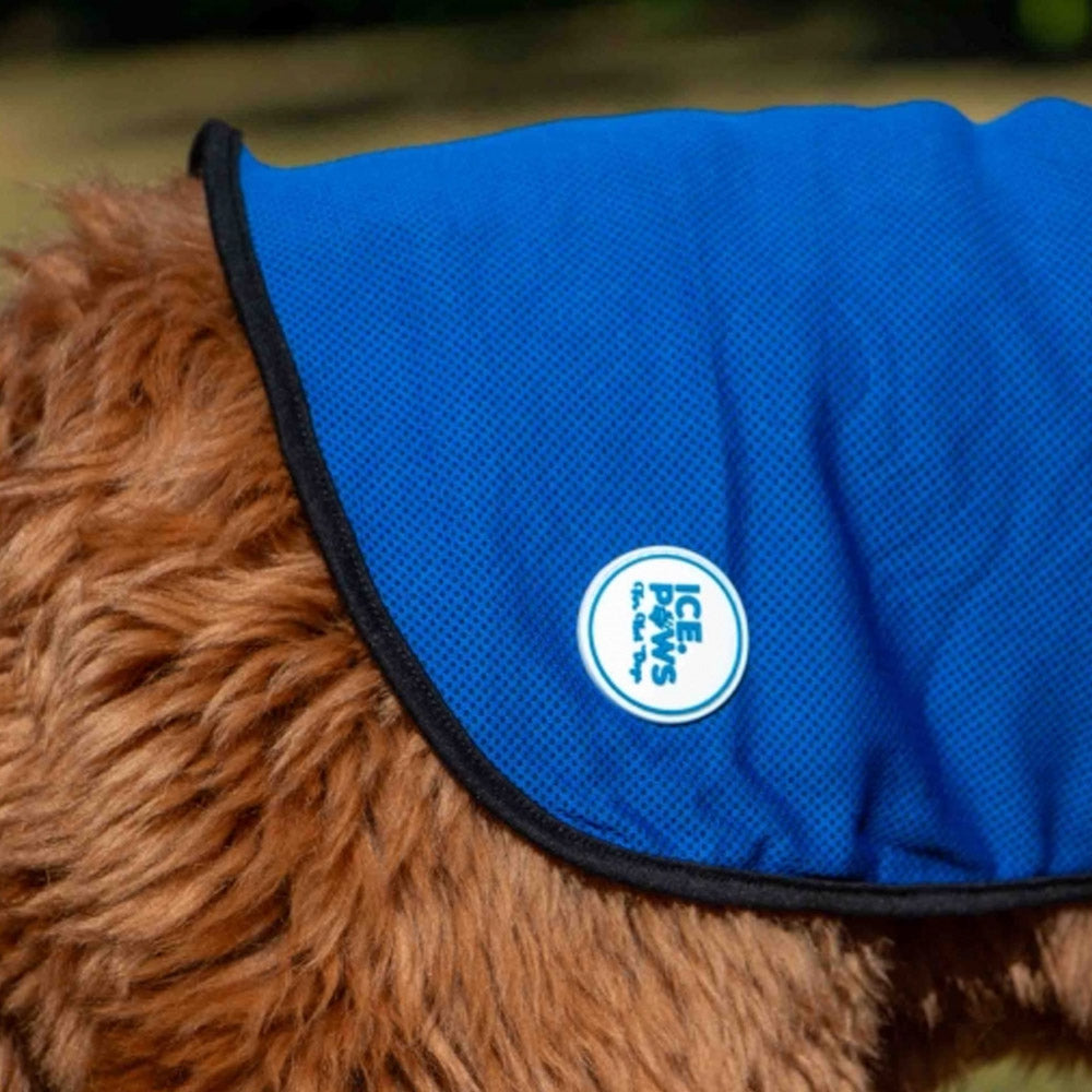 Ice Paws Dog Cooling Coat – Evaporative Cooling Vest