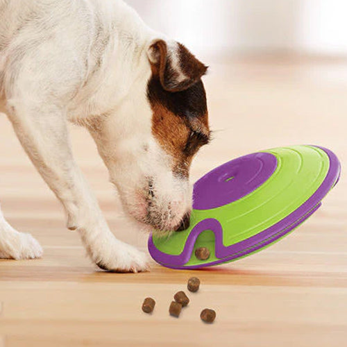 Dog Maze Treat Dispensing Dog Toy Feeder